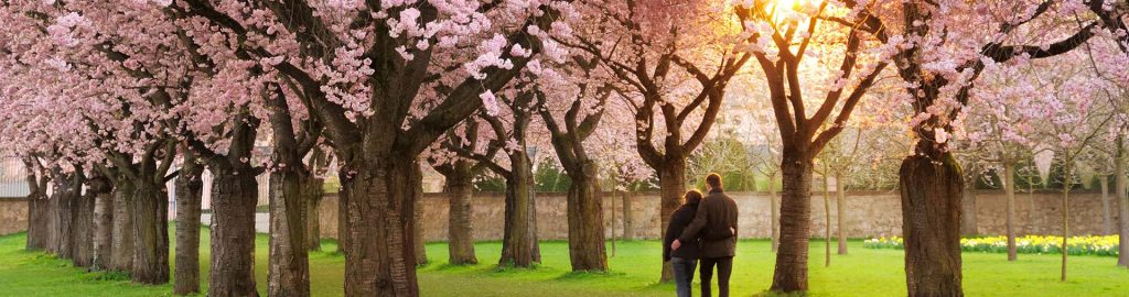 Das richtige Kinderwunschzentrum finden – worauf Paare achten sollten