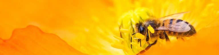 Spermiogramm verbessern