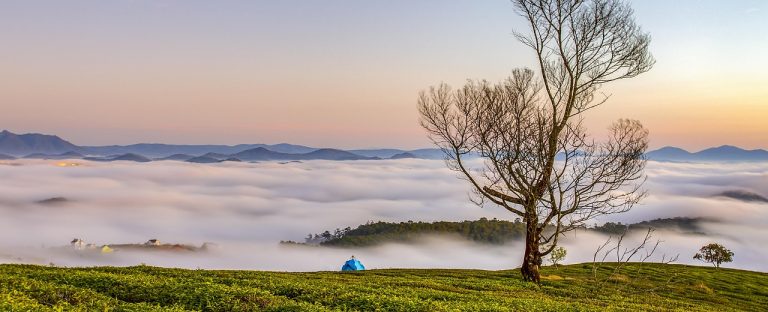 Praxisbeispiel: Verlustverarbeitung vor Kinderwunschbehandlung