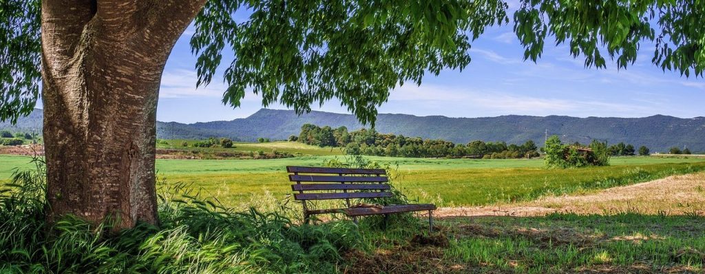 Wann wieder schwanger nach Fehlgeburt